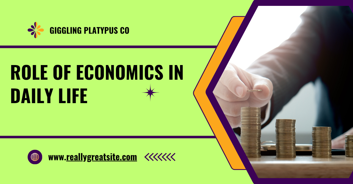 Role of economics in daily life